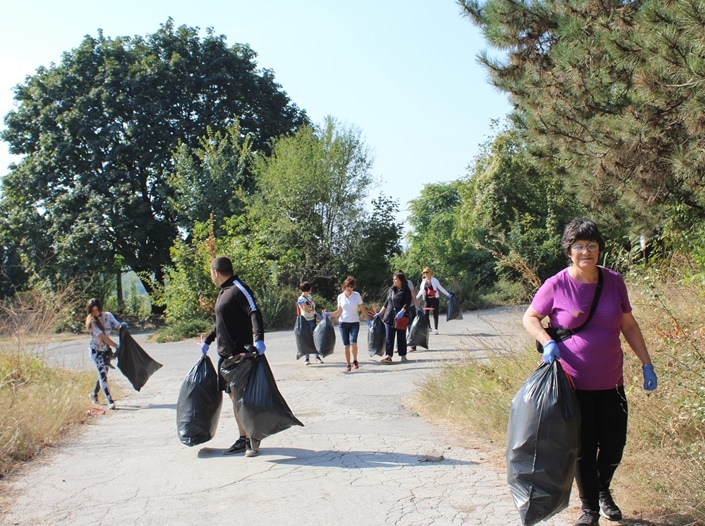 clean the forest